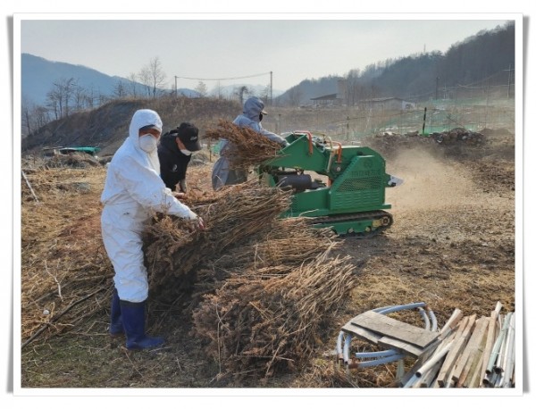 higw1. 태백시 산불예방 인화물질 제거작업 실시.jpg